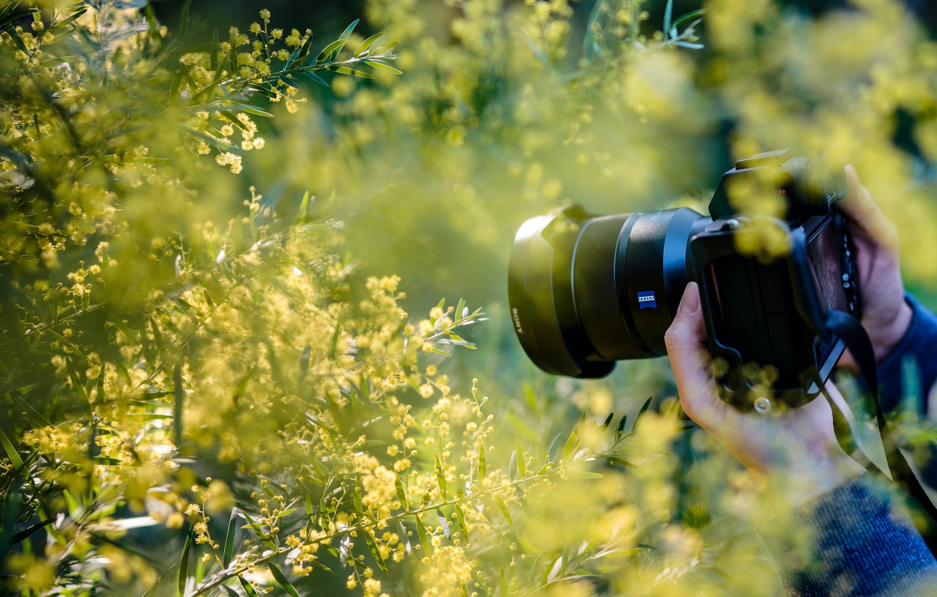 Photo contest: "A Janela" becomes the winner of the CENIE Grand Prize